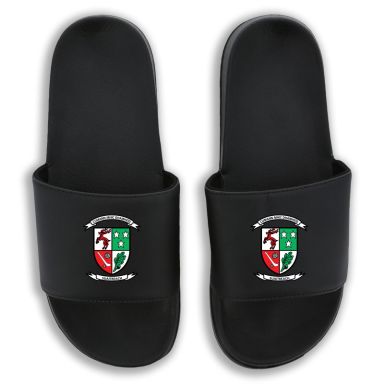 Michael Davitts Swatragh Zora Pool Sliders
