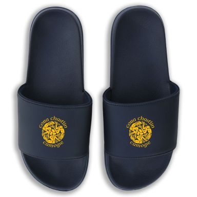 Newmarket On Fergus GAA Zora Pool Sliders