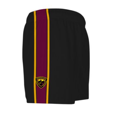 Michael Cusacks Sydney GAA 2-Stripe Shorts