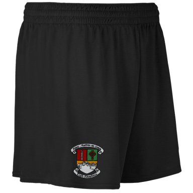 Park-Ratheniska & Timahoe Hurling Club Mourne Shorts