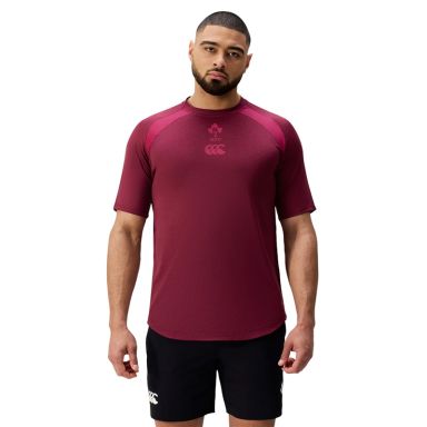 Red Men's Canterbury Ireland Rugby IRFU 2024/25 Elite Training T-Shirt from O'Neills