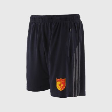 Sarsfields GFC Wexford Kids' Synergy Training Shorts