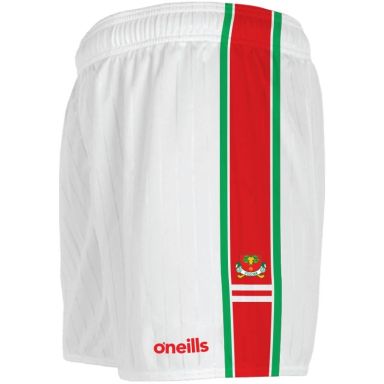 Tolosa Gaels GAA Shorts
