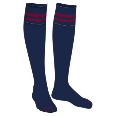 Leehurst Swan School Personalised Socks