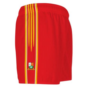Tadhg MacCarthaigh Kids' Mourne Shorts
