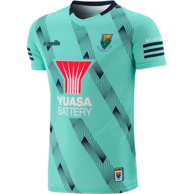 Wicklow GAA Hurling Short Sleeve Training Top from ONeills.