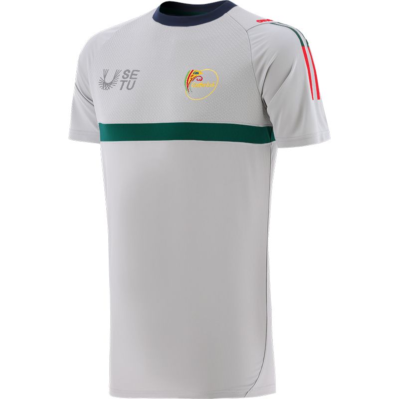 Men's Silver Carlow GAA T-Shirt with County Crest and Stripe Detail on the Sleeves by O’Neills.