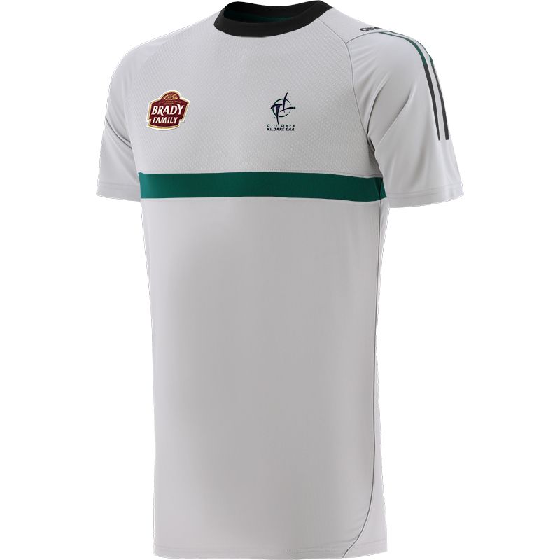 Silver Men's Kildare GAA T-Shirt with County Crest and Stripe Detail on the Sleeves by O’Neills.