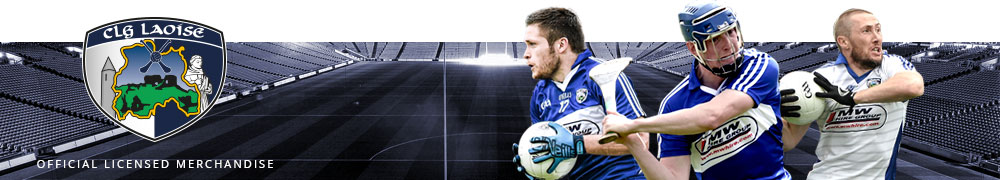Magnificent Seven: Things Laois Gave the GAA