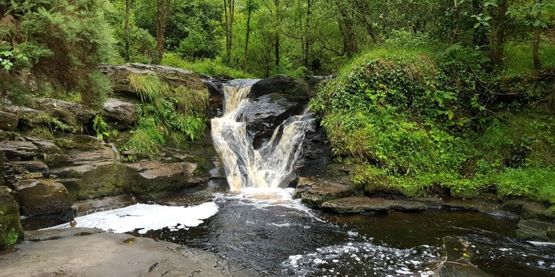 Glenbarrow Eco Walk, Co Offaly